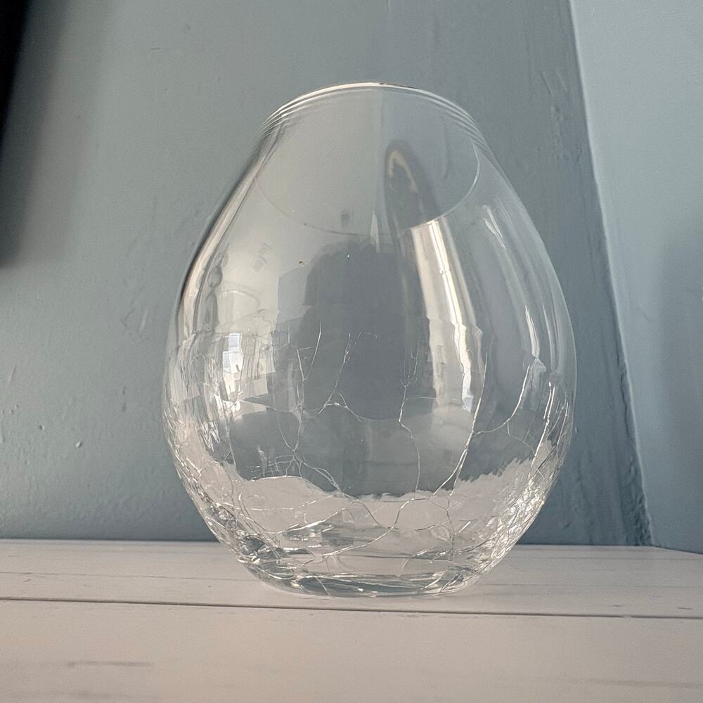 Pier 1 Crackle Glass Stemless Wine Glass Clear Art Glass Tumbler 4.5”